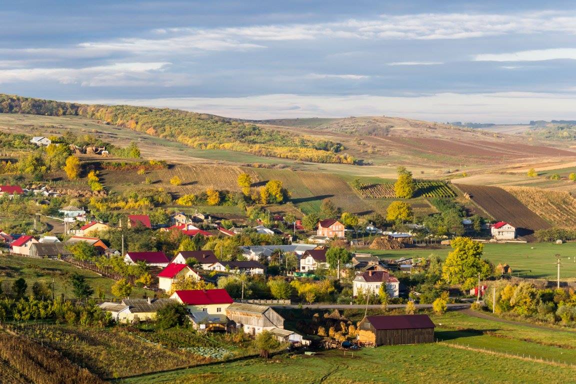 PRIMĂRIA MIHAI EMINESCU