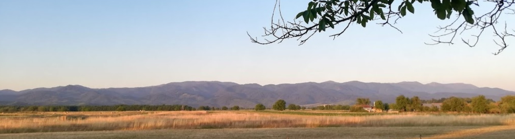 PRIMĂRIA CURĂŢELE