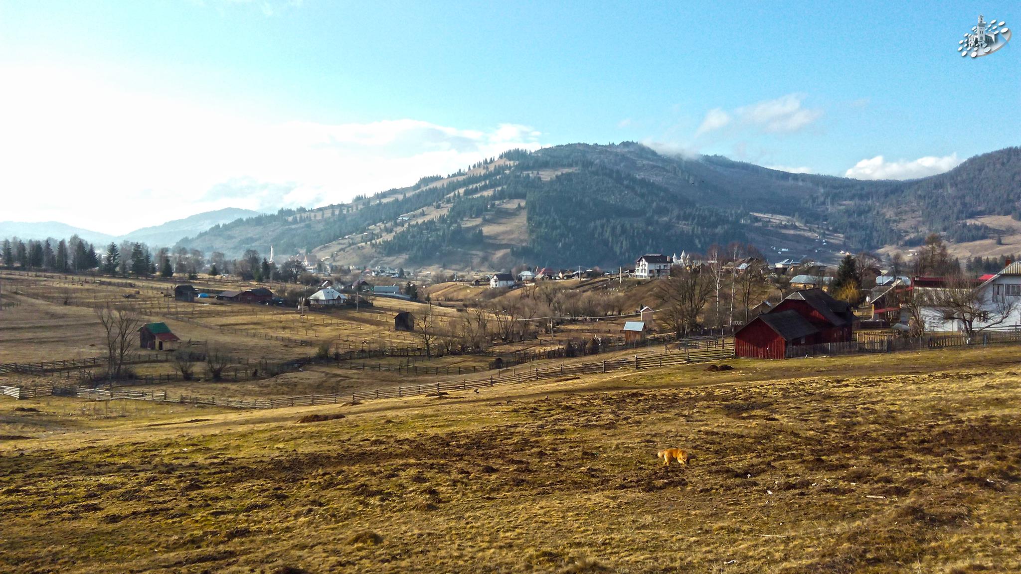 PRIMĂRIA DORNA ARINI