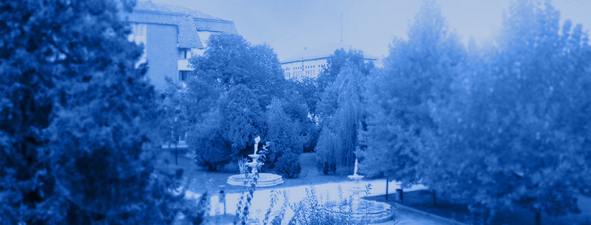 PRIMĂRIA DRĂGĂNEŞTI OLT