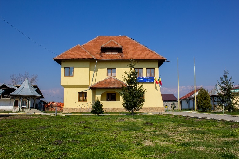 PRIMĂRIA DRĂGUŢEŞTI