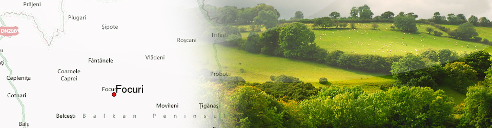 PRIMĂRIA FOCURI
