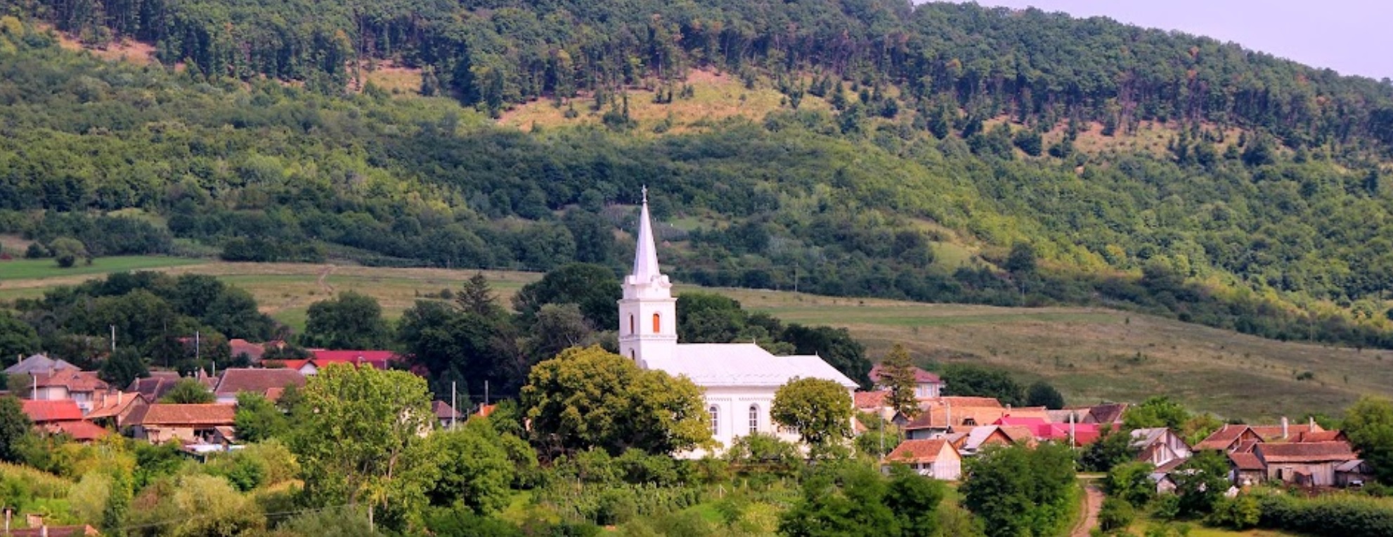 PRIMĂRIA GALAŢII BISTRIŢEI