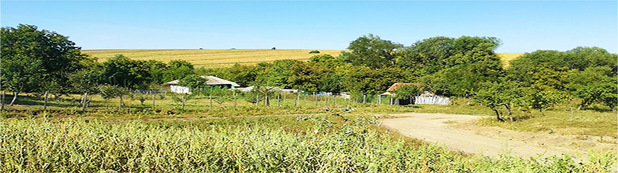 PRIMĂRIA GLĂVĂNEŞTI