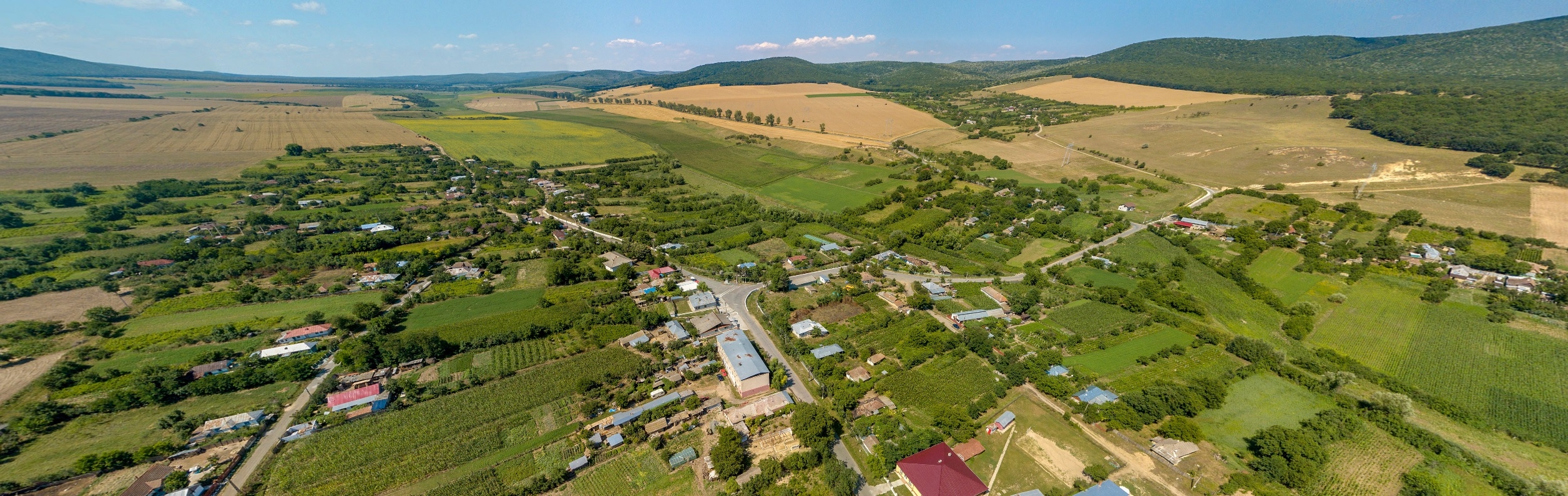 PRIMĂRIA HAMCEARCA