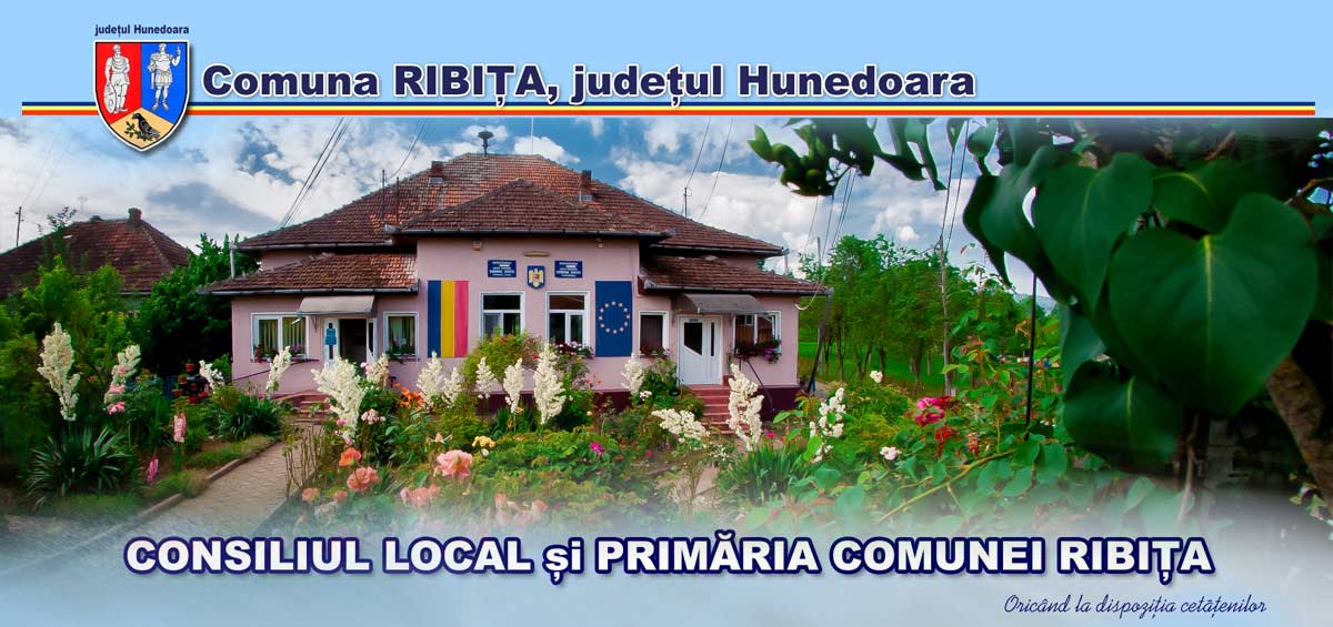 PRIMĂRIA RIBIŢA