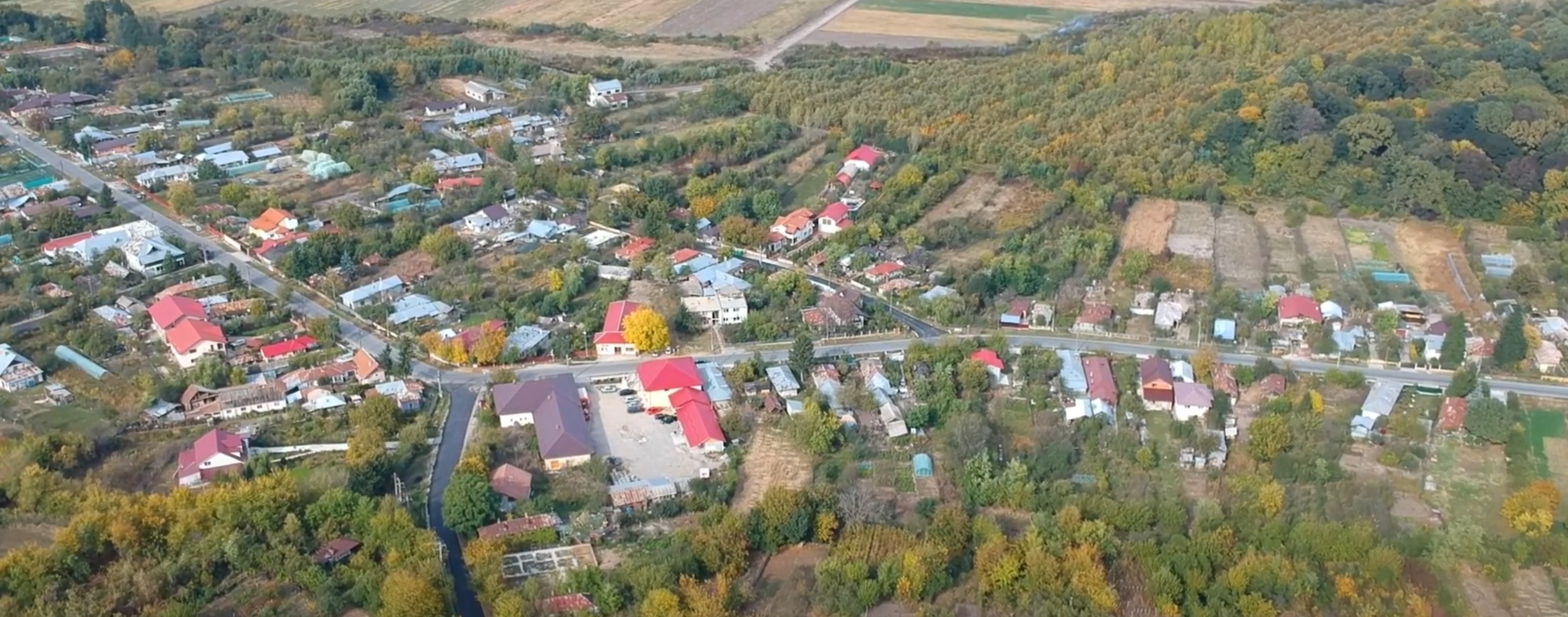 PRIMĂRIA IEPUREŞTI