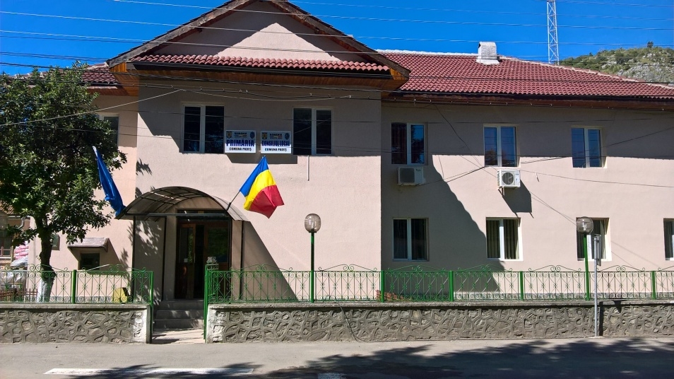 PRIMĂRIA PADEŞ