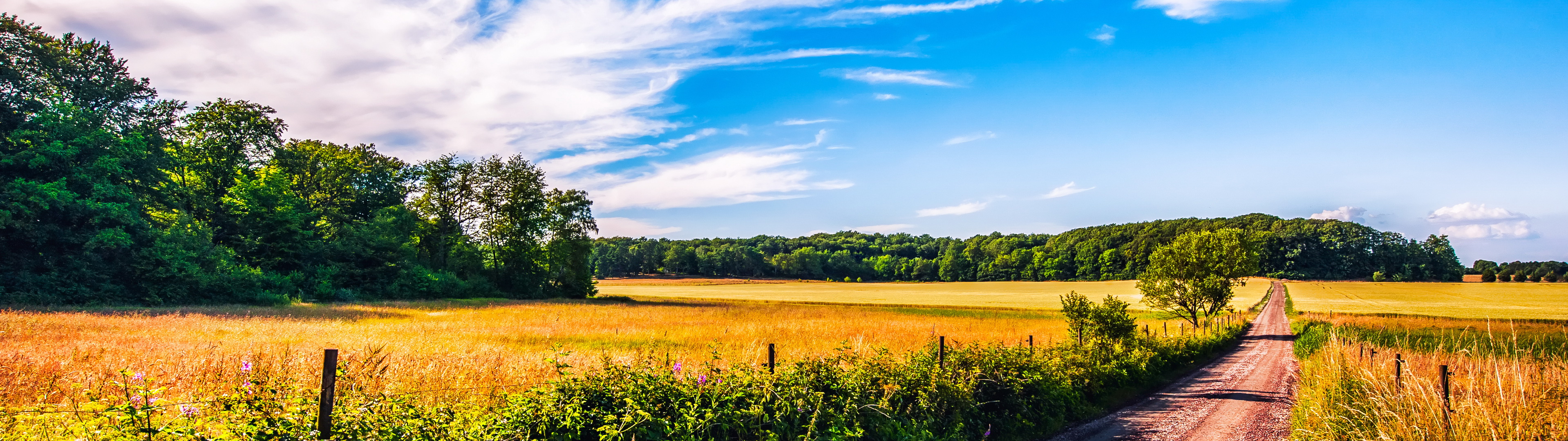 PRIMĂRIA MĂDĂRAŞ