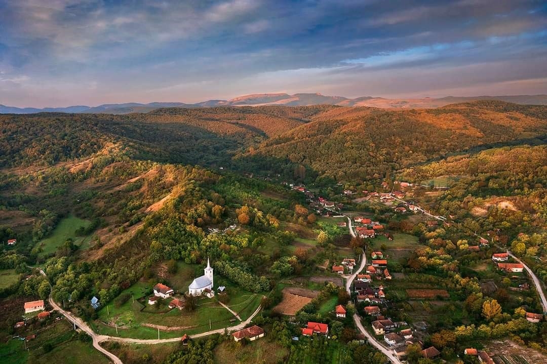 PRIMĂRIA MOLDOVENEŞTI