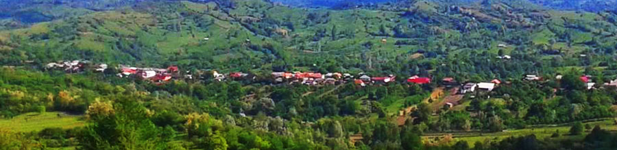 PRIMĂRIA PĂULEŞTI