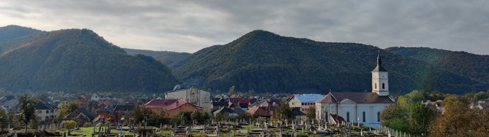 PRIMĂRIA REBRIŞOARA