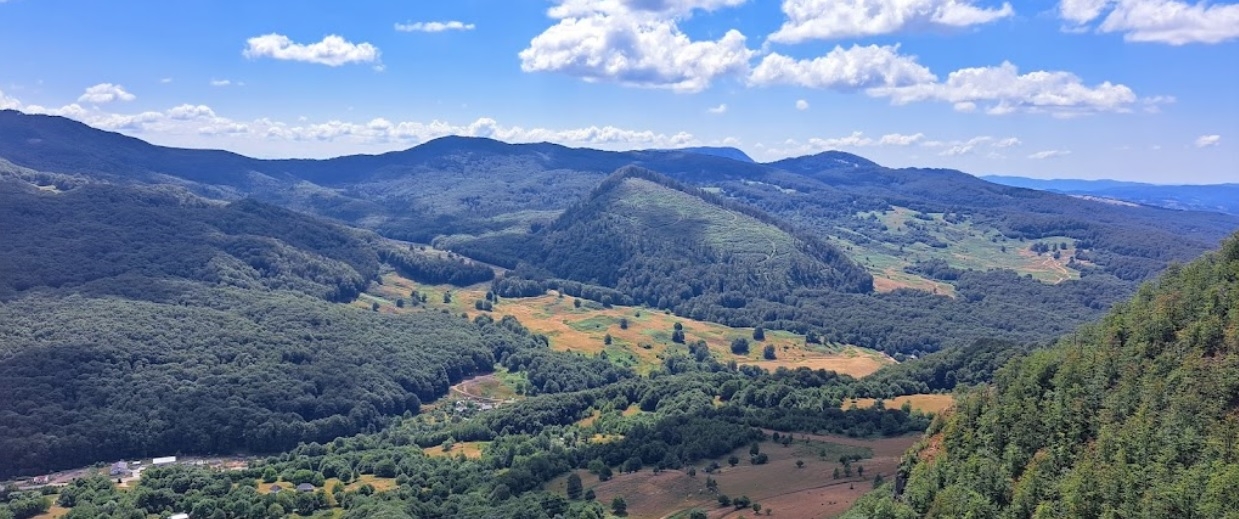 PRIMĂRIA ŞIŞEŞTI