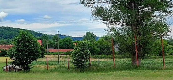 PRIMĂRIA ŞIŞEŞTI