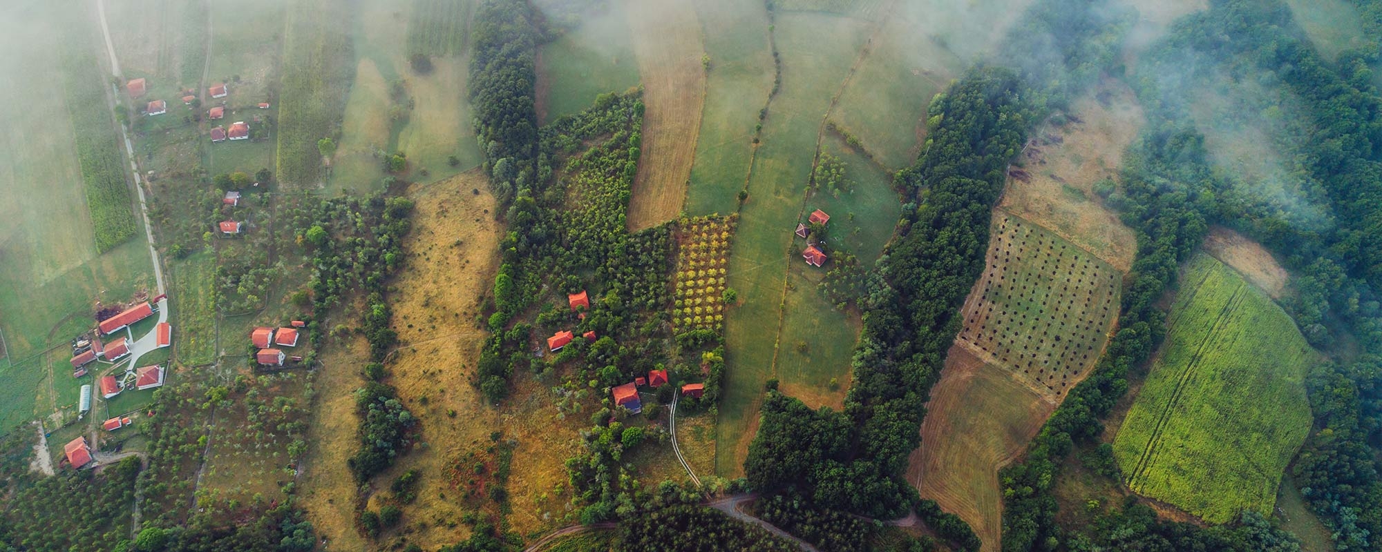 PRIMĂRIA VLĂSINEŞTI