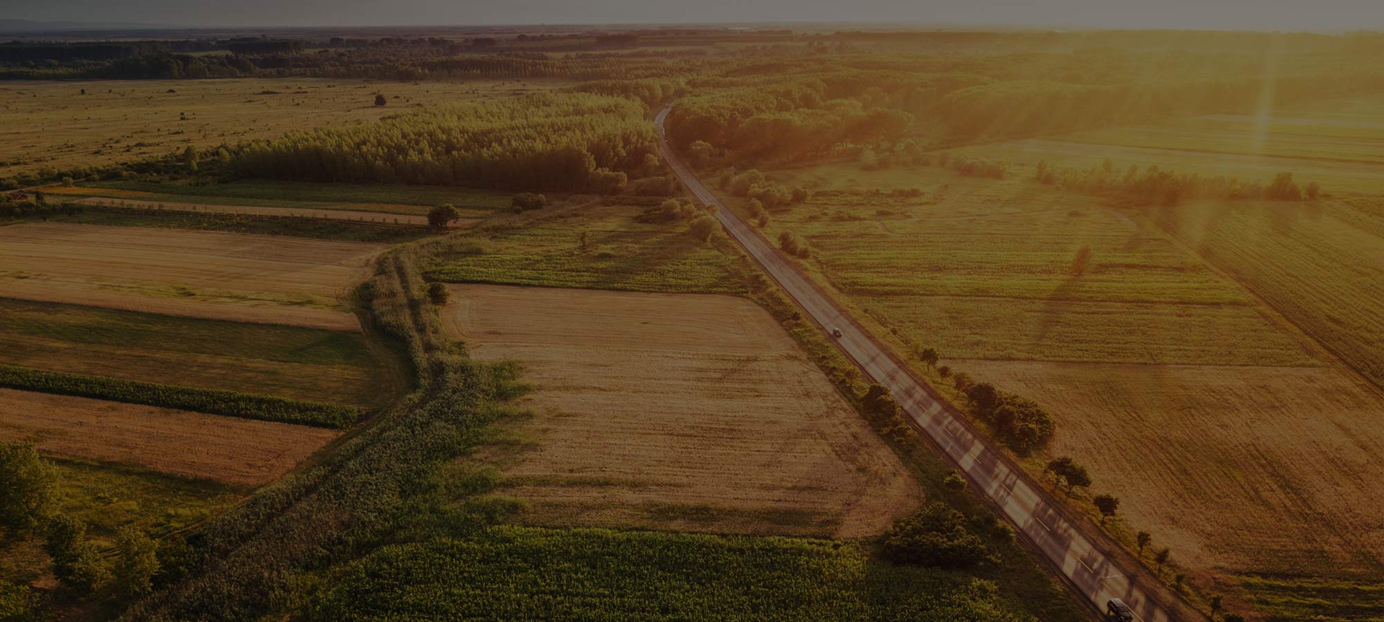 PRIMĂRIA TRUŞEŞTI