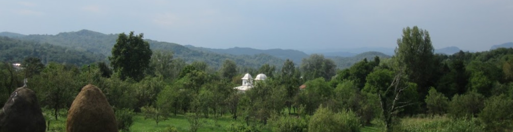 PRIMĂRIA STOENEŞTI