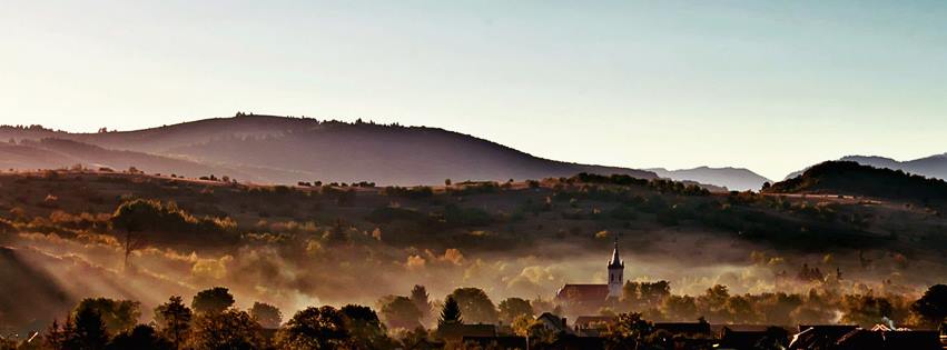 PRIMĂRIA TĂRLUNGENI
