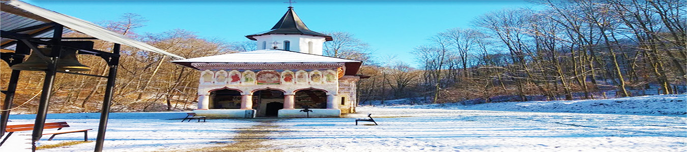 PRIMĂRIA ŢIŢEŞTI