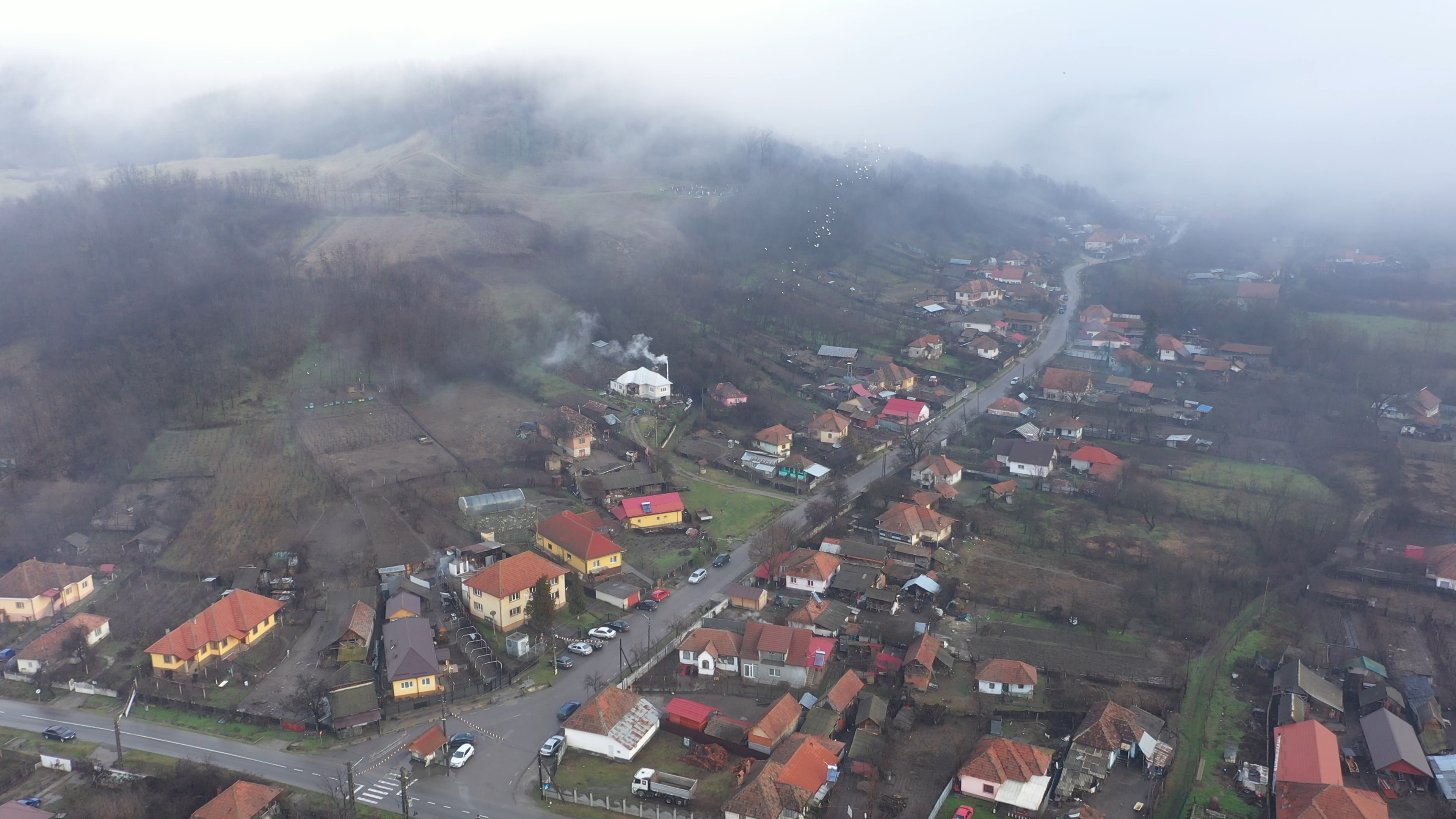 PRIMĂRIA VĂGIULEŞTI