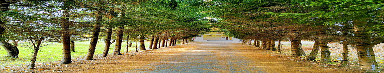 PRIMĂRIA VLĂDEŞTI