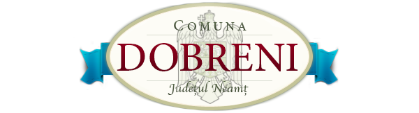 PRIMĂRIA DOBRENI