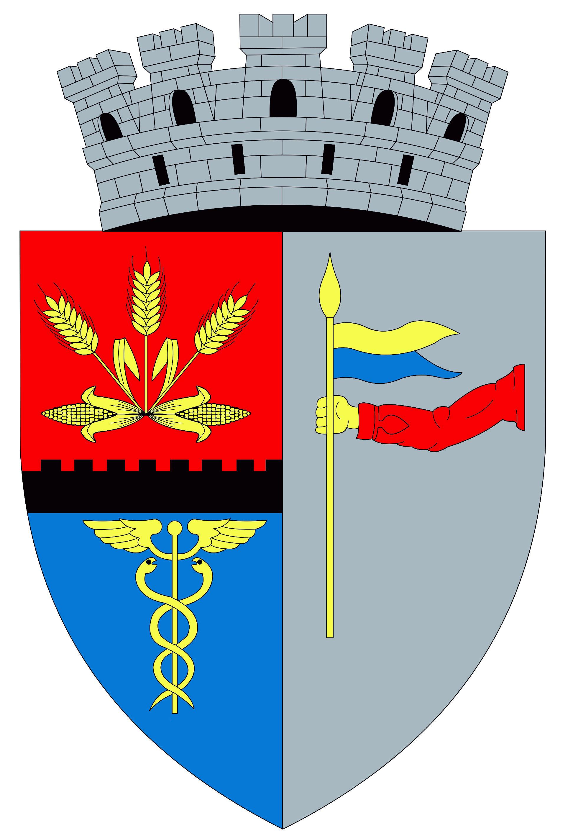 PRIMĂRIA ROŞIORII DE VEDE