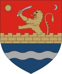 Consiliul Judetean Timis