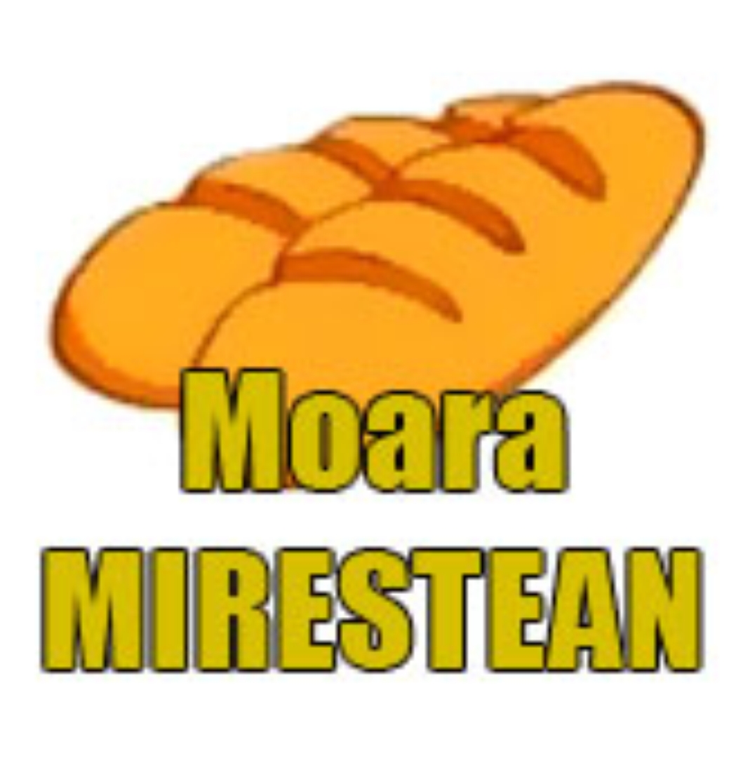 MOARA MIREŞTEAN SRL