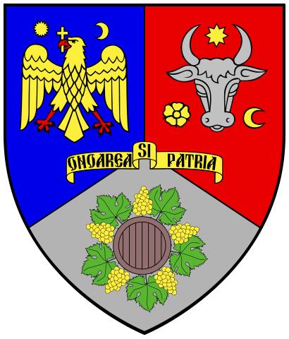 Consiliul Judetean Vrancea