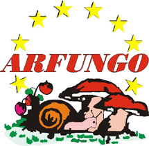ARFUNGO COMIMPEX SRL
