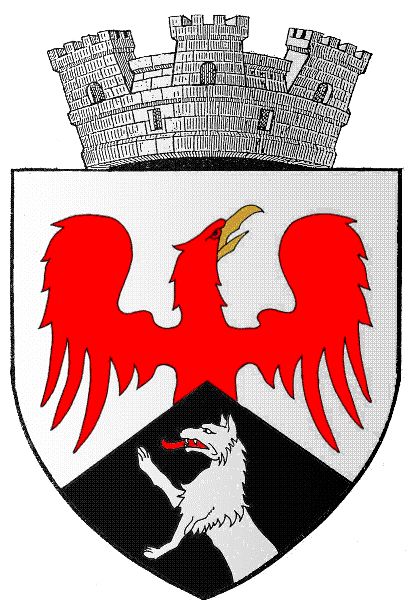 PRIMĂRIA TÂRGU FRUMOS