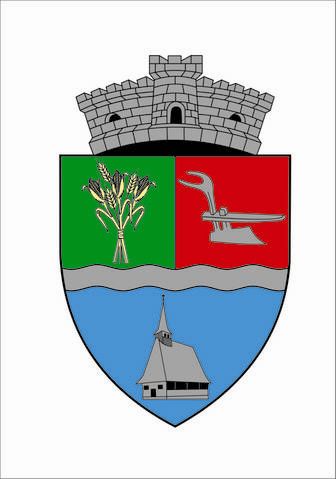 PRIMĂRIA DRĂGĂNEŞTI