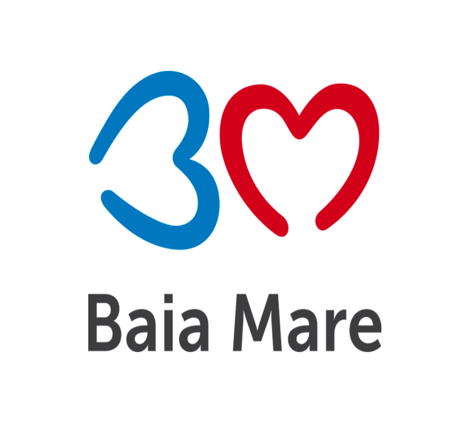 MUNICIPIUL BAIA MARE