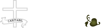 CARITABIL SRL