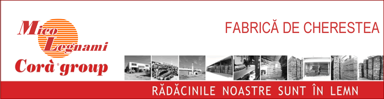 MICO LEGNAMI SRL
