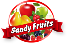 SANDYFRUITS  SRL