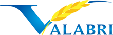 VALABRI SRL