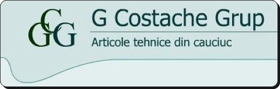 G. COSTACHE GRUP SRL