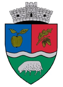 PRIMĂRIA MĂRIŞELU