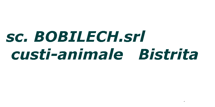 BOBILECH SRL