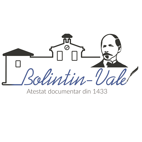PRIMĂRIA BOLINTIN VALE