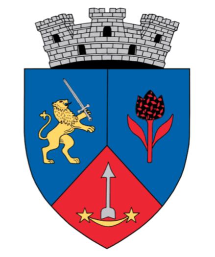 PRIMĂRIA CEHU SILVANIEI