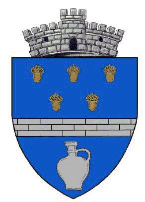 PRIMĂRIA VLĂDEŞTI