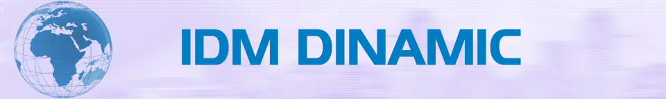 IDM DINAMIC SRL