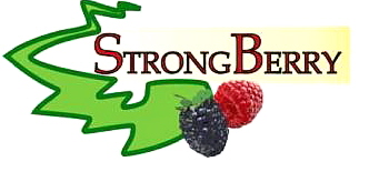 STRONG BERRY SRL