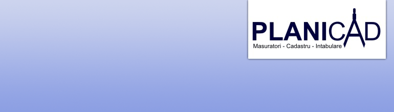 PLANICAD 2010 SRL