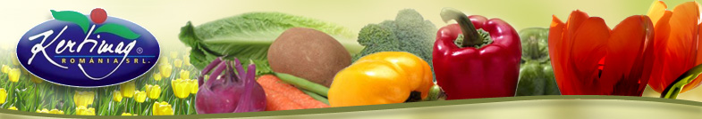 KERTIMAG ROMANIA SRL