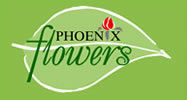 PHOENIX FLOWERS SRL