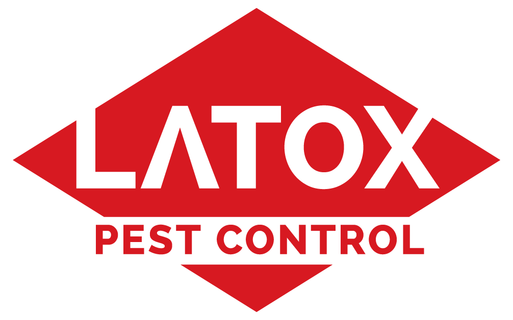 CSIK TURISM MONTAN SRL